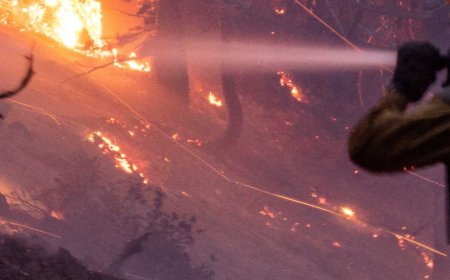 جحيم لوس أنجلوس