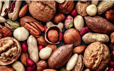 الجوز أم اللوز.. أيهما أفضل لتقوية الذاكرة ولماذا؟