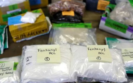 حرب الفنتانيل.. كيف تهرب العصابات أرباحها عبر الصين؟