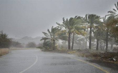 فجر "ثلجي" في عدة محافظات.. و"جيش" الموجة القطبية يزحف نحو الجنوب
