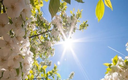 الأنواء الجوية: طقس ربيعي مستقر وسماء صحوة في عموم العراق