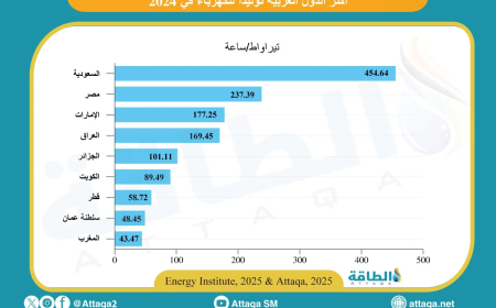أكثر الدول العربية توليدًا للكهرباء في 2024..