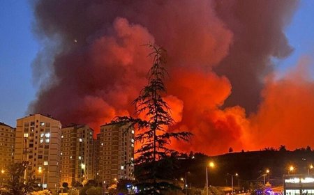 حرائق غابات تهدد الأحياء السكنية في بورصة والسلطات تستنفر