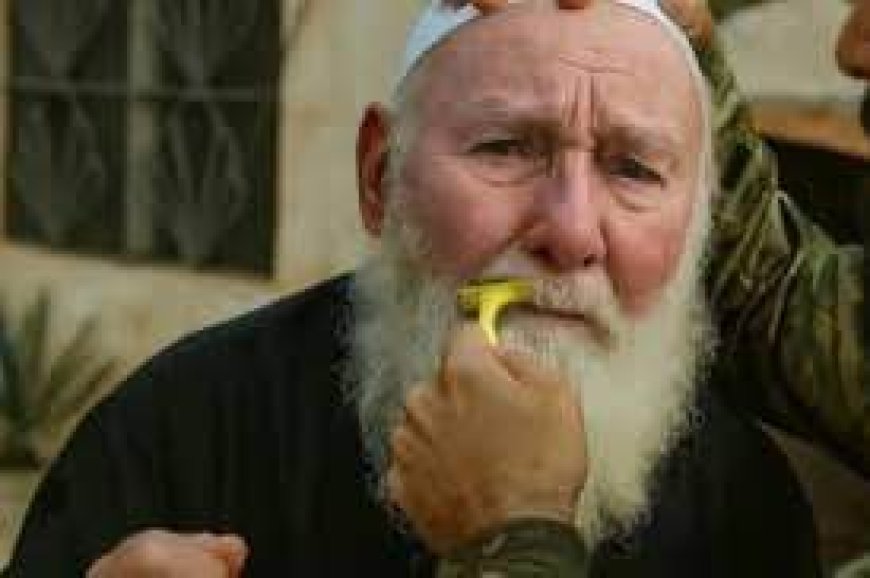 كرامة الإنسان في زمن الفوضى