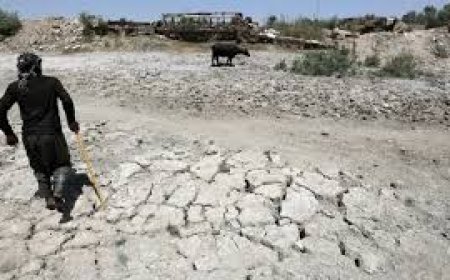 تداعيات خطيرة لأزمة الجفاف على الزراعة وحياة الإنسان في العراق