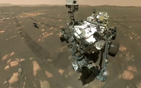 NASA'dan büyük duyuru: "Mars'ta yaşama dair en güçlü işaret"