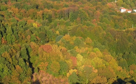 Zonguldak ormanları sonbaharın renk cümbüşüyle kartpostallık manzaralar sunuyor