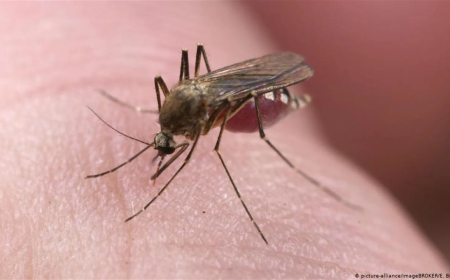 أشياء تتناولها تجعلك "مفضلًا" للدغات البعوض