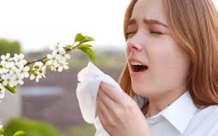 علماء يكتشفون حل سريع وفعال لمرضى الحساسية