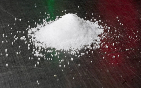 ما المدة التي يبقى خلالها الملح في الجسم؟