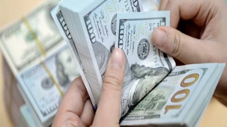 الدولار يواصل سلسلة خسائره مقابل الدينار في بغداد وأربيل