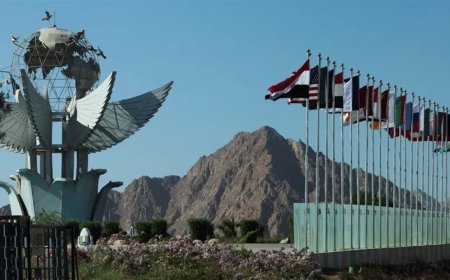 25 رئيسا سيحضرون قمة شرم الشيخ مع ترامب بشأن غزة.. من هم؟