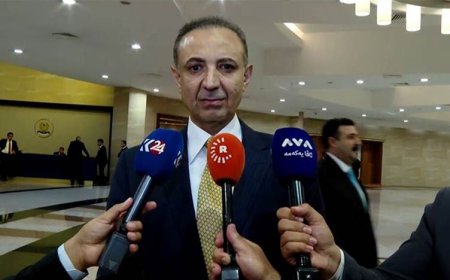 Dilşad Şehab, Neçirvan Barzani ile Erdoğan arasındaki görüşmenin detaylarını açıkladı