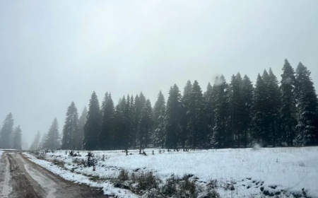 Bolu’nun yüksek kesimlerinde kar etkisini artırdı. Ormanlar beyaz örtüyle kaplandı