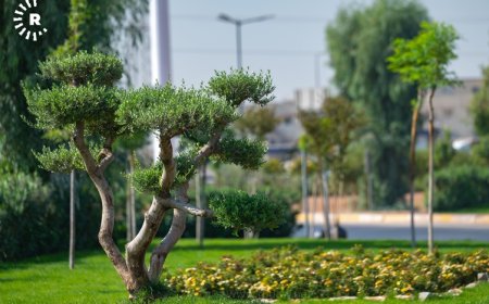 Erbil’de yeşil dönüşüm: Her gün 300 yeni fidan dikiliyor
