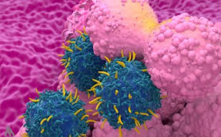 تناول اللحوم المصنعة أسبوعياً يزيد خطر الإصابة بسرطان الثدي