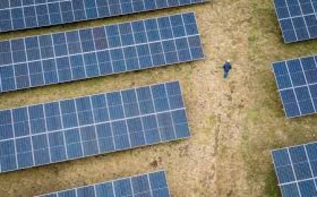 الكهرباء: مشاريع الطاقة الشمسية تتمدد لتشمل المحافظات كافة