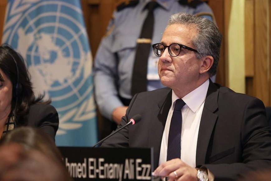 بأغلبية ساحقة.. انتخاب المصري خالد العناني مديرا عاما لمنظمة اليونيسكو
