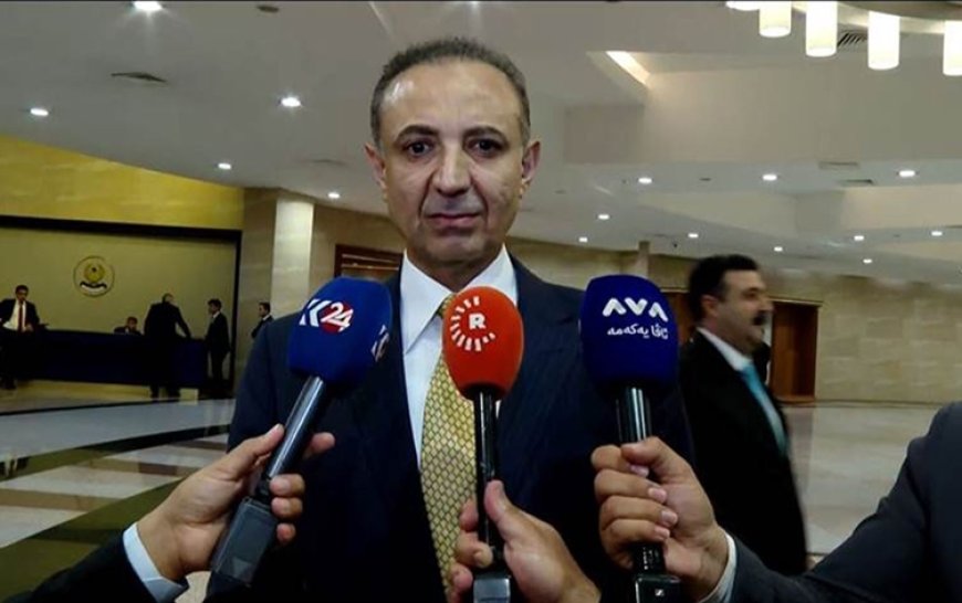 Dilşad Şehab, Neçirvan Barzani ile Erdoğan arasındaki görüşmenin detaylarını açıkladı