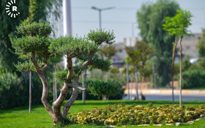 Erbil’de yeşil dönüşüm: Her gün 300 yeni fidan dikiliyor