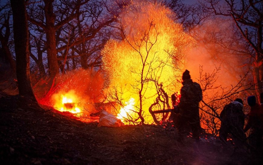 حريق يلتهم غابات إيرانية مدرجة على قائمة التراث العالمي لليونسكو