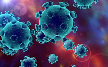 Avrupa alarm veriyor! Mutasyona uğrayan virüs hızla yayılıyor! Türkiye için korkutan uyarı: Gelmesi zaman almayacak