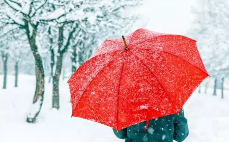 Meteoroloji'den 5 il için sarı kod! Yoğun kar ve fırtına kapıda
