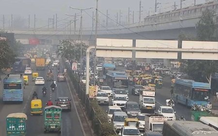 Yeni Delhi’de hava kirliliği alarmı: Yüzde 50 evden çalışma zorunluluğu