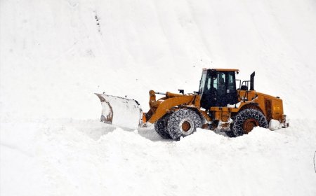 Van, Hakkari, Bitlis ve Muş'ta 423 köy ve mezrayla ulaşım koptu