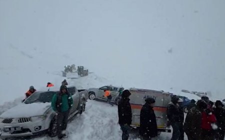 Artvin'de çığ felaketi: 3 çoban kar altında kaldı