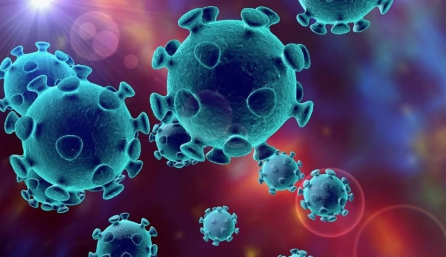 Avrupa alarm veriyor! Mutasyona uğrayan virüs hızla yayılıyor! Türkiye için korkutan uyarı: Gelmesi zaman almayacak