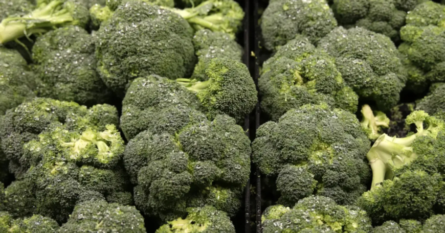 فوائد مذهلة للهرمونات جراء تناول البروكلي