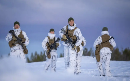 Norveç Grönland'ı ABD'ye karşı 2 askerle savunacak