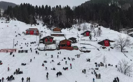 Rize'de "18. Kardan Adam Kış Festivali" başladı