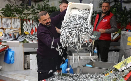 Kilosu 50 liraya düştü vatandaş sıraya girdi