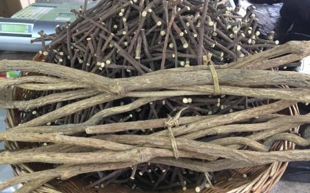 ما فوائد شرب عرق السوس يوميا؟