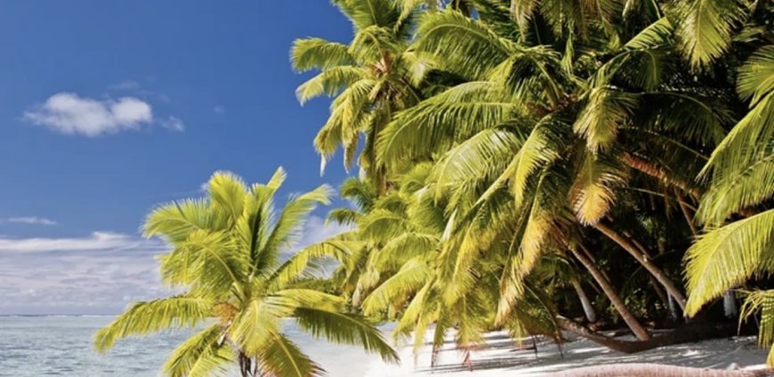 ماذا نعرف عن الجزر السرية التي تقف وراء الخلاف بين الولايات المتحدة والمملكة المتحدة؟