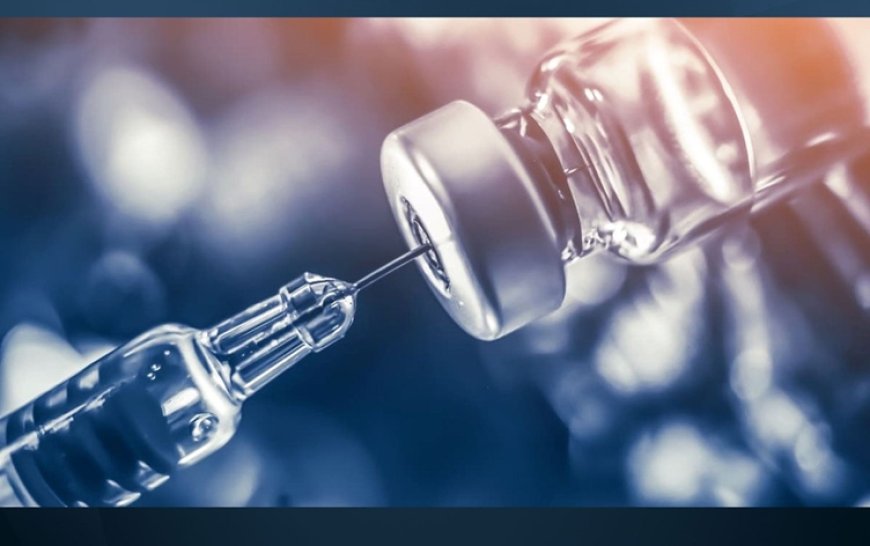 İstanbul’da ‘kuduz’ tablosu: 124 bin kişi hastaneye başvurdu