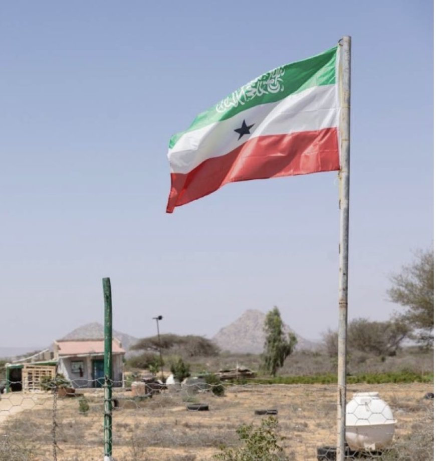 صوماليلاند مستعد لمنح أميركا نفاذا لمعادنه وقواعد عسكرية