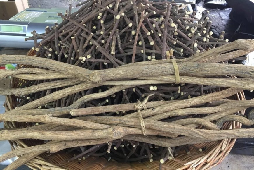 ما فوائد شرب عرق السوس يوميا؟