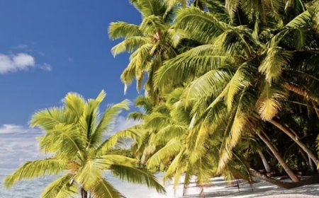 ماذا نعرف عن الجزر السرية التي تقف وراء الخلاف بين الولايات المتحدة والمملكة المتحدة؟