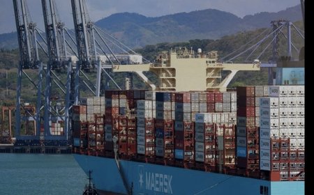 | أ.ف.ب: شركة ميرسك للشحن البحري تعلق مؤقتا رحلاتها بين الشرق الأوسط وكل من أوروبا والشرق الأقصى