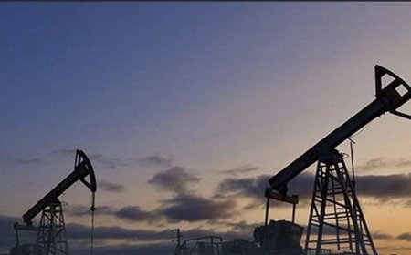 رويترز: العقود الآجلة للنفط تواصل التراجع بنزول خام برنت والخام الأمريكي 16 دولارا للبرميل