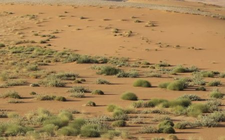 "الربع الخالي"... مخزن الطاقة ومقبرة المسيرات