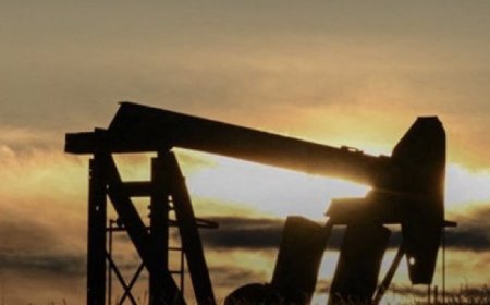 رؤساء شركات إكسون وشيفرون وكونوكو فيليبس يحذرون إدارة ترامب من أن توقف الإمدادات عبر مضيق هرمز بسبب حرب إيران سيفاقم أزمة الطاقة، وفق ما نقلته رويترز عن وسائل إعلام أميركية