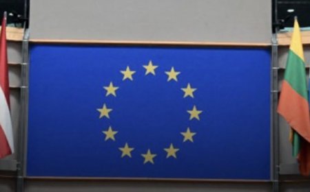 الاتحاد الأوروبي يخطط لإصلاح قواعد الاندماج بهدف الحد من صلاحيات الدول الأعضاء في منع صفقات الاستحواذ، وذلك لتعزيز قدرة الشركات الأوروبية على المنافسة أمام نظيراتها الأميركية والصينية