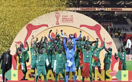 "ليس ذكاء اصطناعيا" تجريد السنغال من لقب أمم أفريقيا يثير السخرية