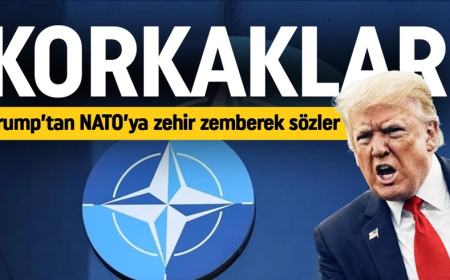Trump'tan NATO'ya zehir zemberek sözler! "Korkaklar"