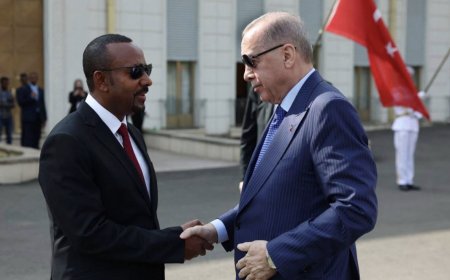 القرن الأفريقي: فرص الحرب في ظل التحولات الإقليمية