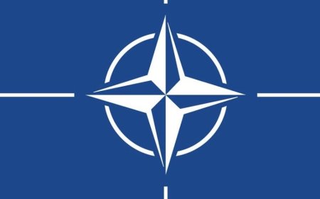 حلف شمال الأطلسي (الناتو): نؤيد حرب ترامب على إيران